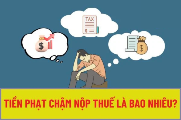 Chậm nộp báo cáo thuế công ty BỊ PHẠT bao nhiêu?